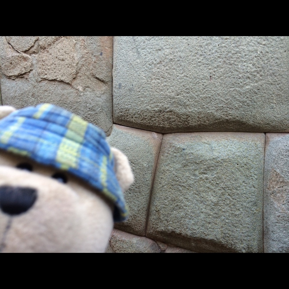 Meet your Posher, Rosalba